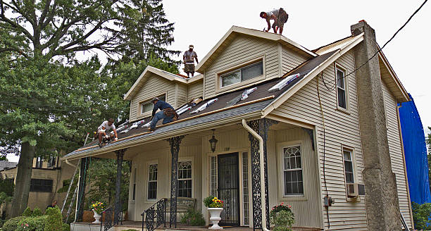 Best Roof Gutter Cleaning  in Maysville, GA